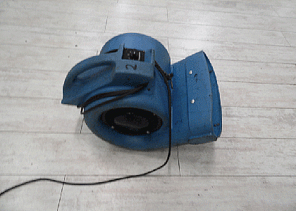 Equipment Hire/ Carpet Fan